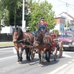 IMG_2519