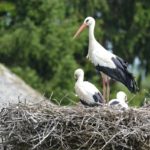 ????????????????????????????????????