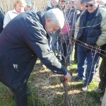 Predavanje rezidba  2015 008