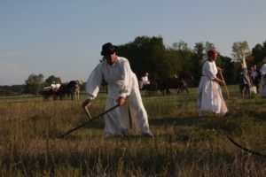 IMG_3166